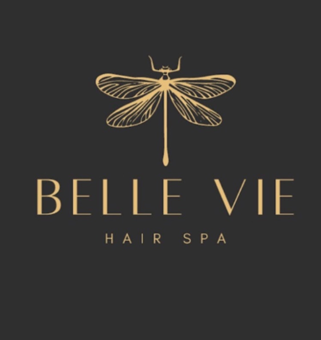 Belle Vie Hair Spa — gold dragonfly emblem